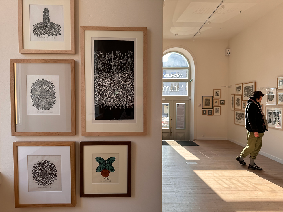 Portrait of Shum art gallery (Львів, Ukraine) Photo 1 of 1.