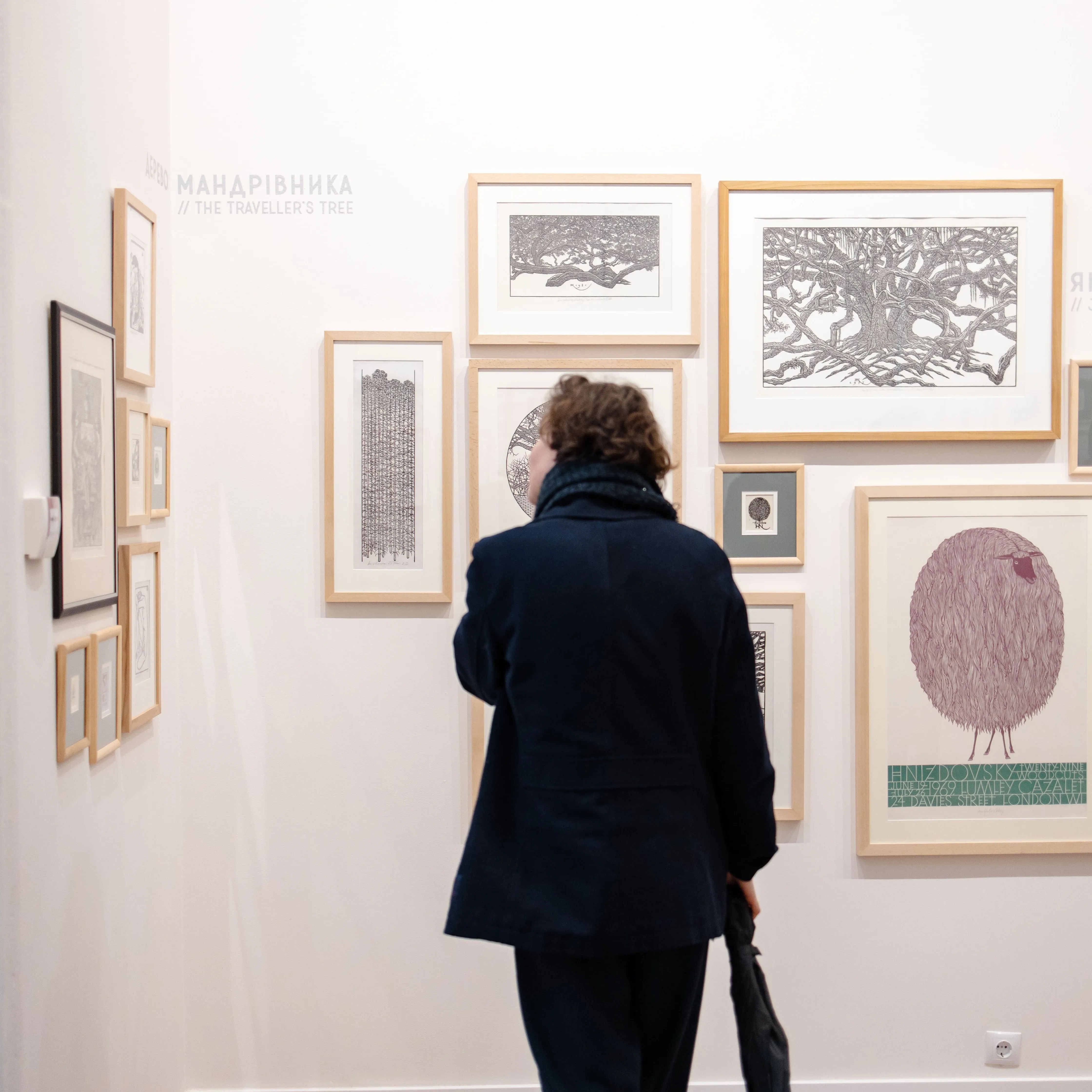 Фото до проєкту "Світи Близькі І Далекі" від Shum Art Gallery, проєкт типу Виставки, створено у 17.01.2025 Фото 4 з 15.