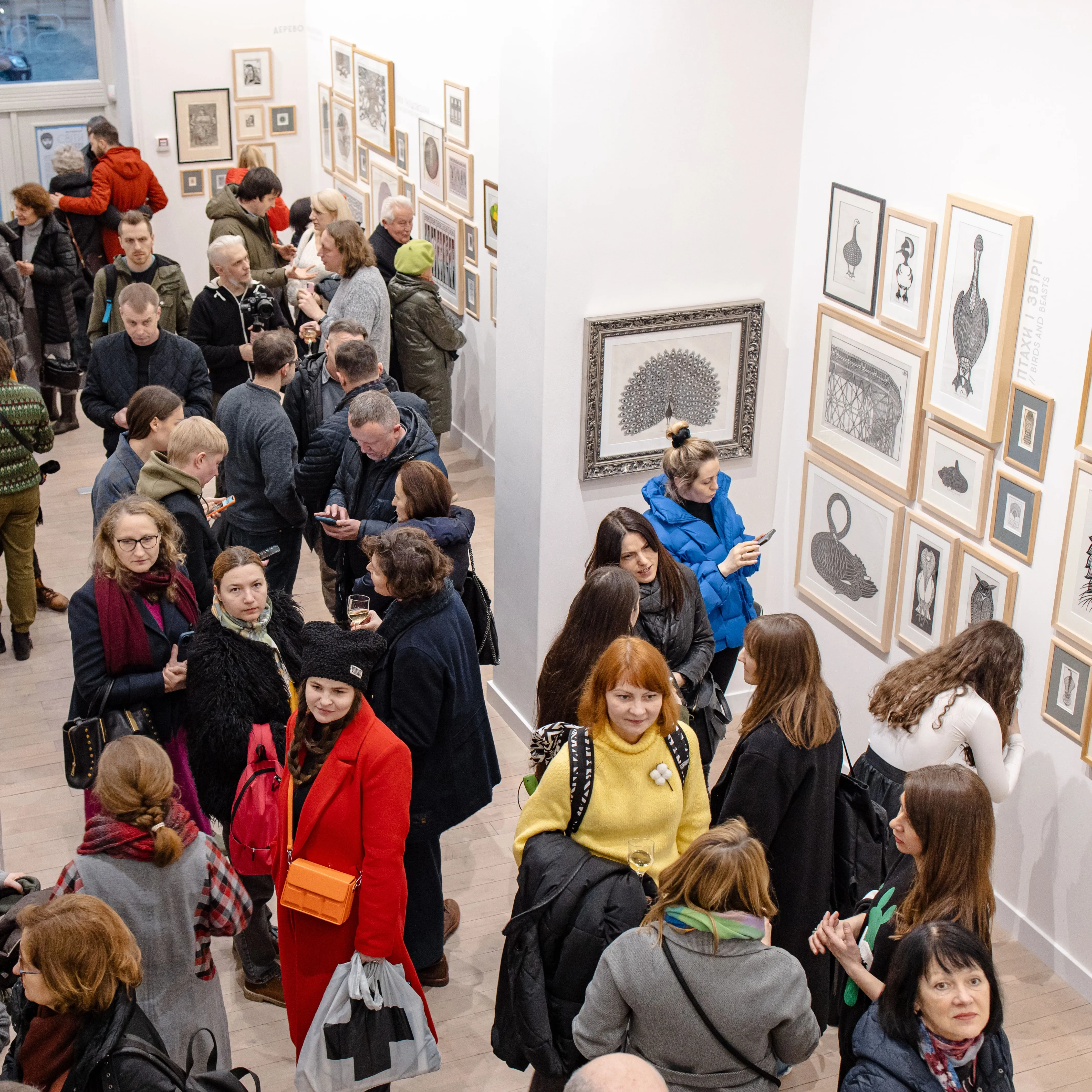 Фото до проєкту "Світи Близькі І Далекі" від Shum Art Gallery, проєкт типу Виставки, створено у 17.01.2025 Фото 11 з 15.
