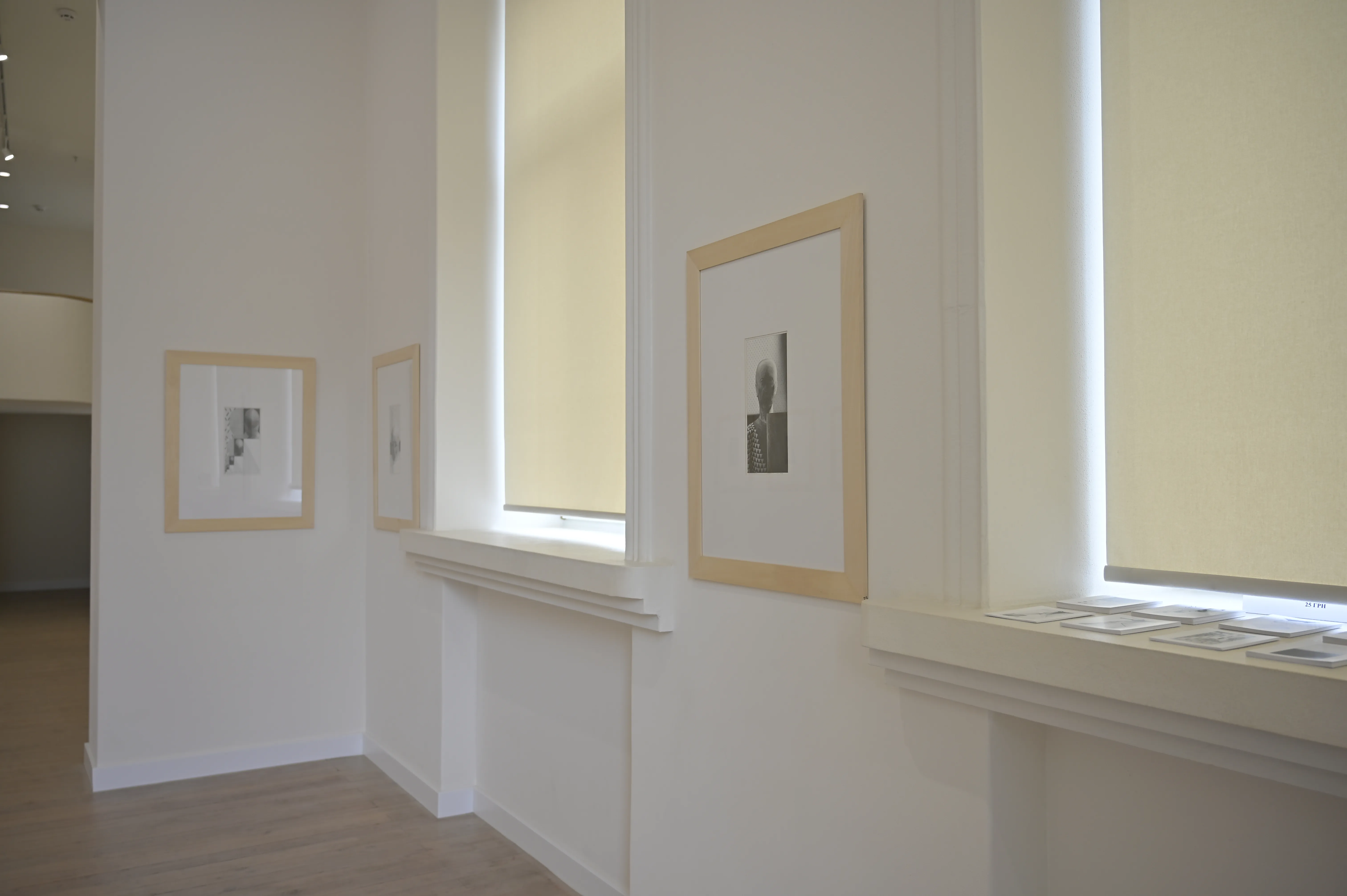 Фото до проєкту "Горизонт" від Shum art gallery, проєкт типу Виставки, створено у 29.01.2025 Фото 12 з 17.