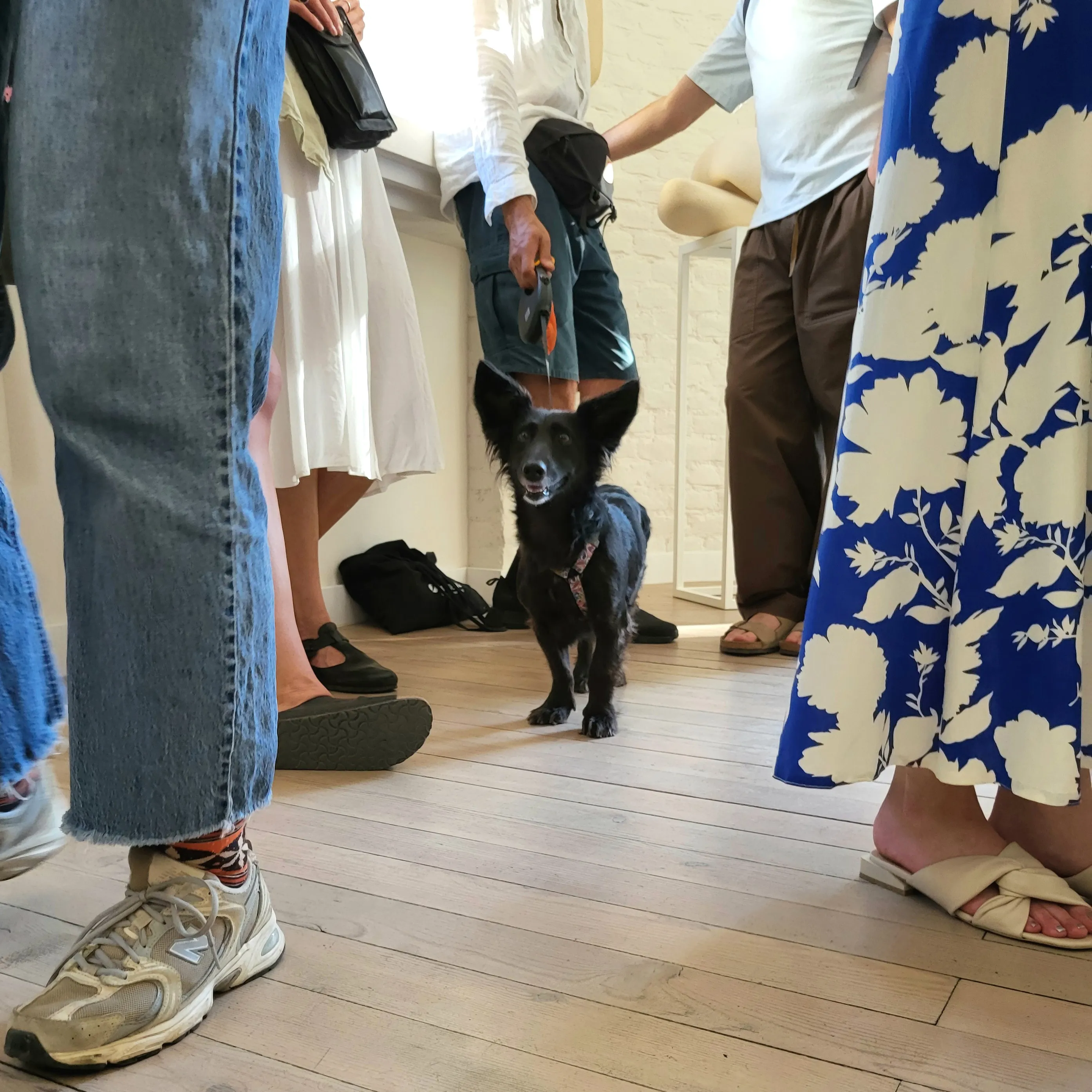 Фото до проєкту "Білий шум" від Shum art gallery, проєкт типу Виставки, створено у 02.07.2025 - 17.08.2025 Фото 6 з 16.