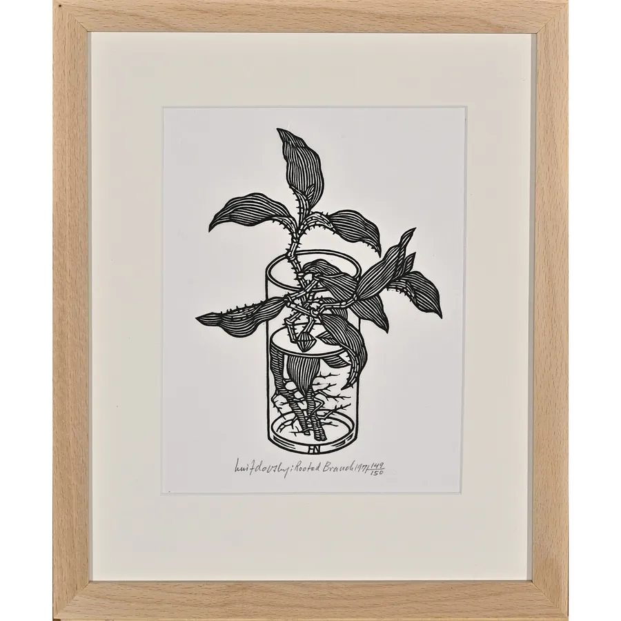 Image of Rooted Branch by Hnizdovsky Jacques , size: 20х15 см, made of woodcut, Woodcut medium, part of the 136/150 series, priced at $1050