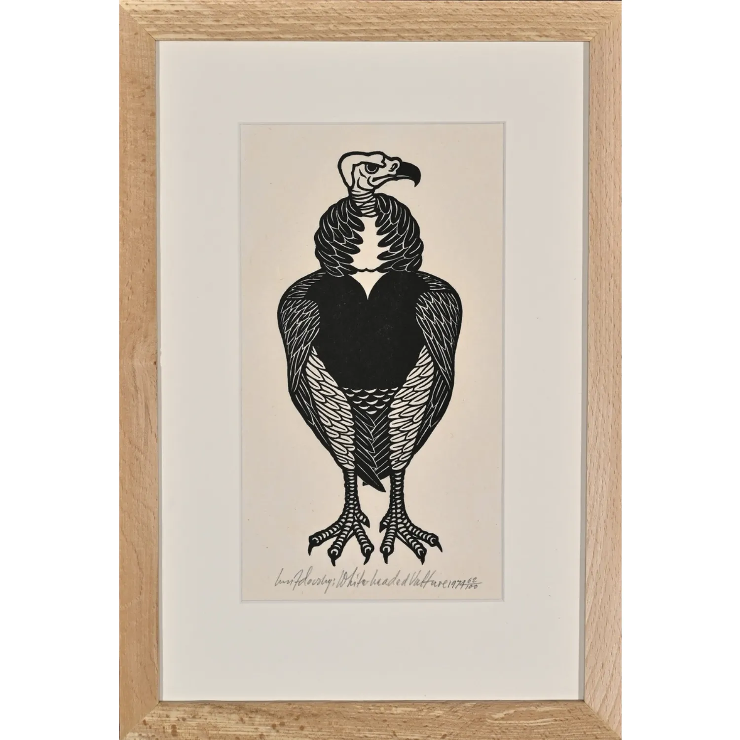 Image of White-headed Vulture by Hnizdovsky Jacques , size: 28 х 14 см, made of woodcut , Woodcut medium, part of the 10/100 series, priced at $1000