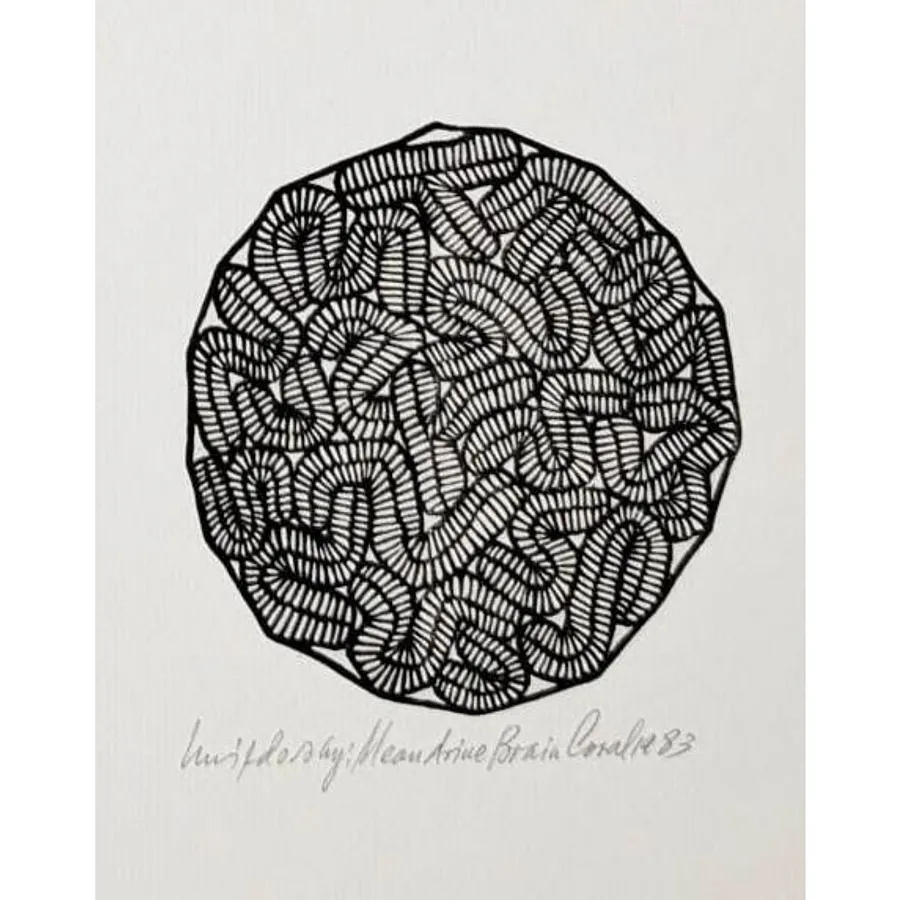 Image of Меандрепоровий мозковий корал by Hnizdovsky Jacques , size: 10,5 x 8,5 см, Woodcut medium, part of the Unnumbered series, priced at $550