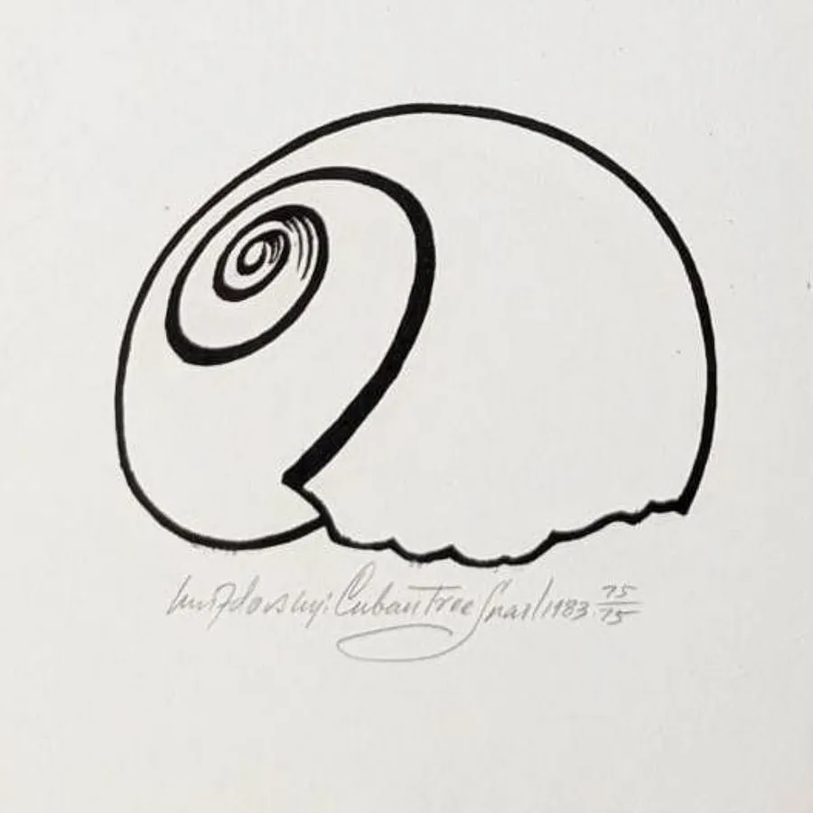 Image of Кубинський равлик by Hnizdovsky Jacques , size: 8,5 x 10,5 см, Woodcut medium, part of the 65/75 series, priced at $550