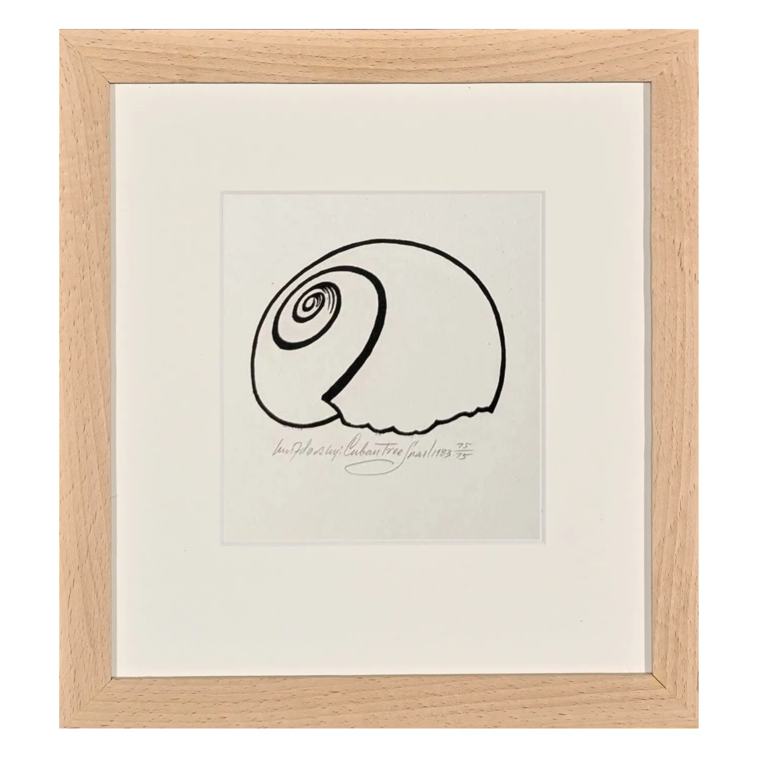 Image of Cuban Tree Snail by Hnizdovsky Jacques , size: 13 x 14 см, Woodcut medium, part of the 65/75 series, priced at $550