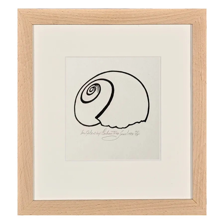 Image of Cuban Tree Snail by Hnizdovsky Jacques , size: 13 x 14 см, Woodcut medium, part of the 65/75 series, priced at $550