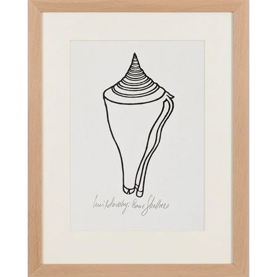 Cone Shell (1983)